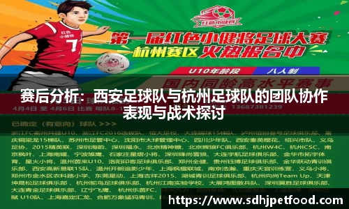 赛后分析：西安足球队与杭州足球队的团队协作表现与战术探讨