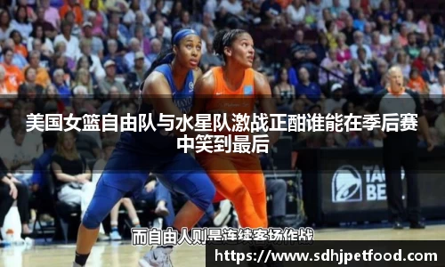 美国女篮自由队与水星队激战正酣谁能在季后赛中笑到最后